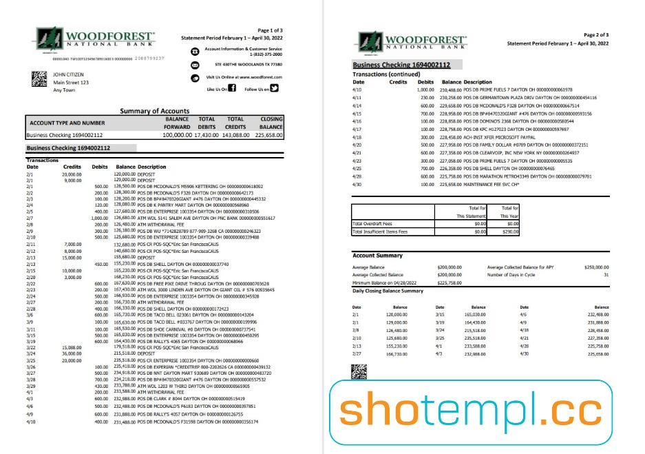 Woodforest Bank Statement Template in PDF Format